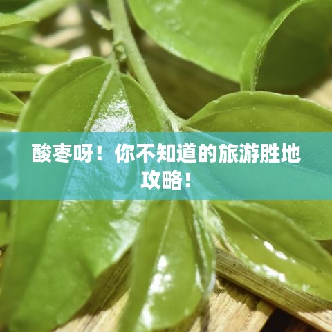 酸棗呀！你不知道的旅游勝地攻略！
