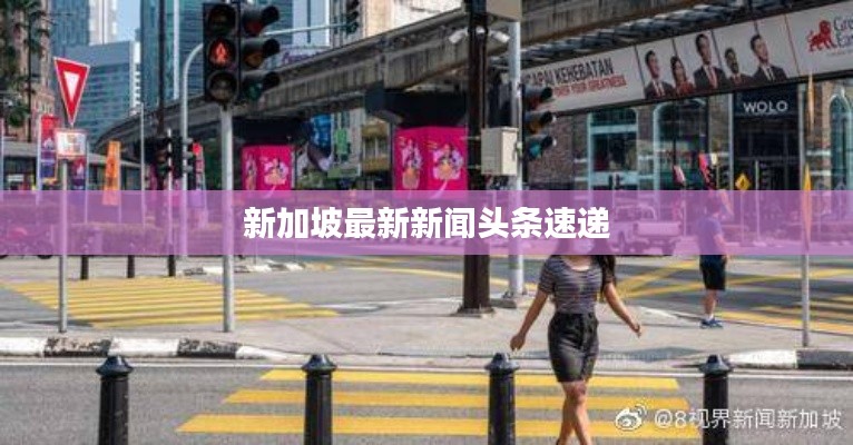 新加坡最新新聞?lì)^條速遞