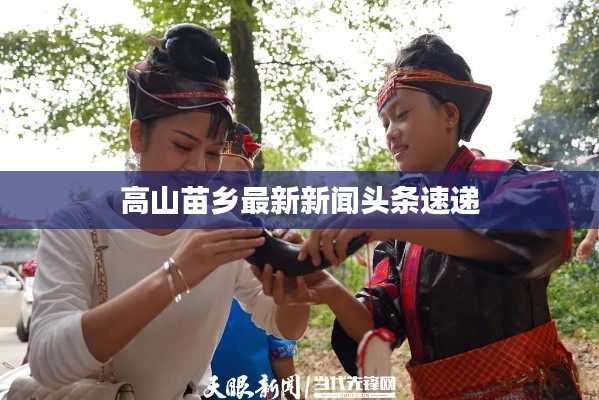 高山苗鄉(xiāng)最新新聞?lì)^條速遞