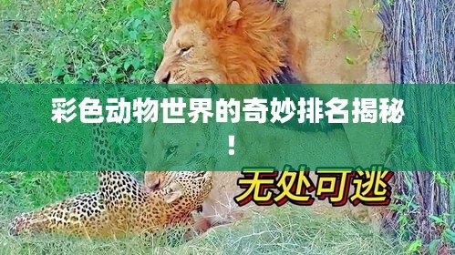 彩色動物世界的奇妙排名揭秘！