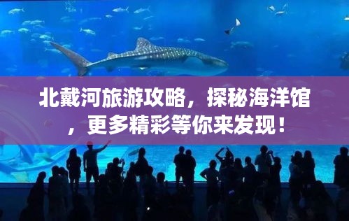 北戴河旅游攻略，探秘海洋館，更多精彩等你來發(fā)現(xiàn)！