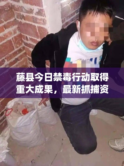 藤縣今日禁毒行動取得重大成果，最新抓捕資訊
