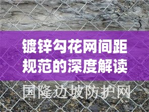 鍍鋅勾花網間距規(guī)范的深度解讀與最新探討