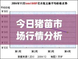 今日豬苗市場行情分析，豬苗價格走勢揭秘，最新豬苗價格分析報告