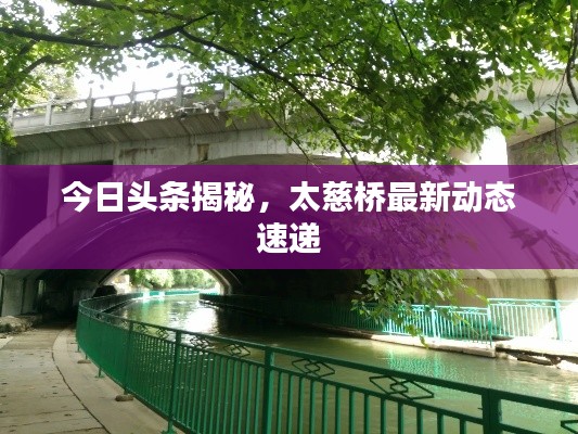 今日頭條揭秘，太慈橋最新動態(tài)速遞