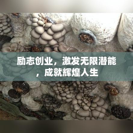 勵志創(chuàng)業(yè)，激發(fā)無限潛能，成就輝煌人生