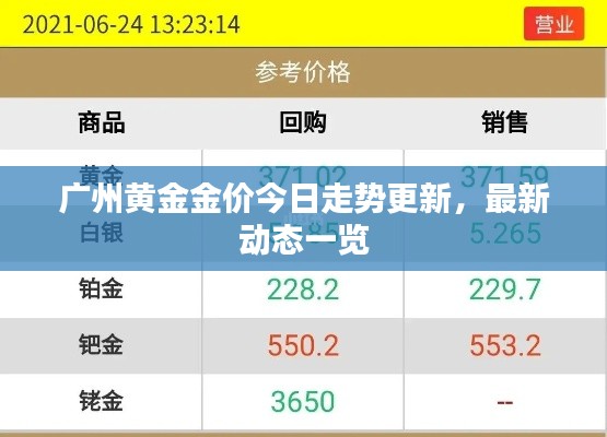 廣州黃金金價今日走勢更新，最新動態(tài)一覽