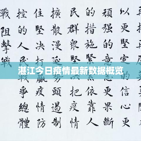 湛江今日疫情最新數(shù)據(jù)概覽