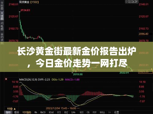 長(zhǎng)沙黃金街最新金價(jià)報(bào)告出爐，今日金價(jià)走勢(shì)一網(wǎng)打盡