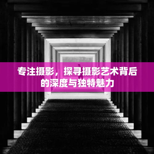 專注攝影，探尋攝影藝術(shù)背后的深度與獨(dú)特魅力