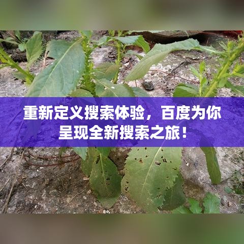 高抬貴手