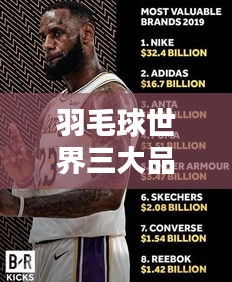 羽毛球世界三大品牌排名揭曉！究竟誰是業(yè)界翹楚？