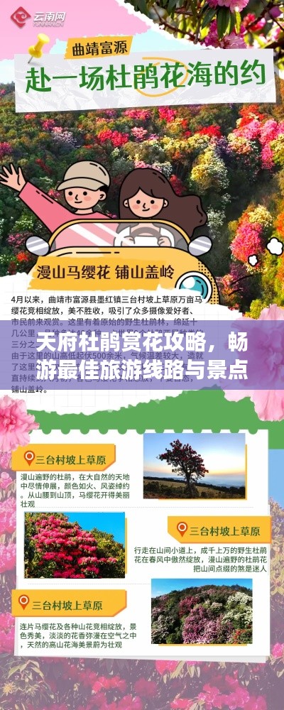 天府杜鵑賞花攻略，暢游最佳旅游線路與景點推薦！