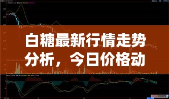 白糖最新行情走勢分析，今日價格動態(tài)一網(wǎng)打盡！