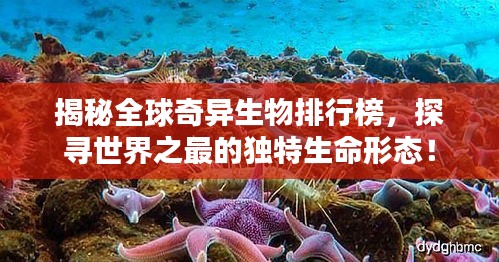 揭秘全球奇異生物排行榜，探尋世界之最的獨特生命形態(tài)！