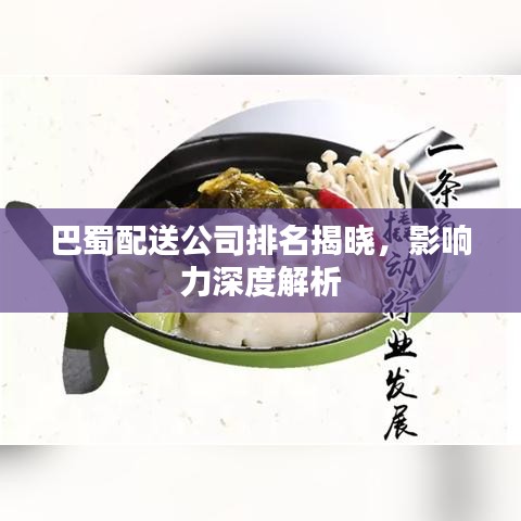 巴蜀配送公司排名揭曉，影響力深度解析