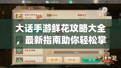 大話手游鮮花攻略大全，最新指南助你輕松掌握！