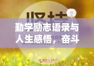 勤學(xué)勵志語錄與人生感悟，奮斗之路，勵志前行！