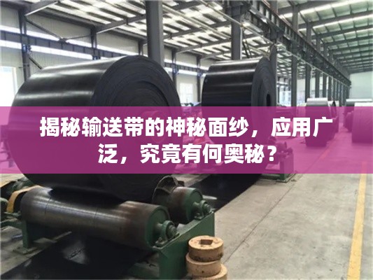 揭秘輸送帶的神秘面紗，應(yīng)用廣泛，究竟有何奧秘？