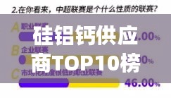 硅鋁鈣供應(yīng)商TOP10榜單揭秘，行業(yè)領(lǐng)軍者的市場影響力深度解析