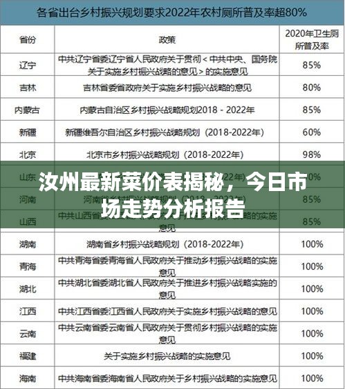 汝州最新菜價(jià)表揭秘，今日市場(chǎng)走勢(shì)分析報(bào)告