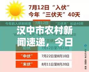 漢中市農(nóng)村新聞速遞，今日頭條全面更新