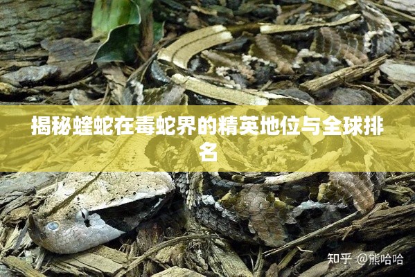 揭秘蝰蛇在毒蛇界的精英地位與全球排名