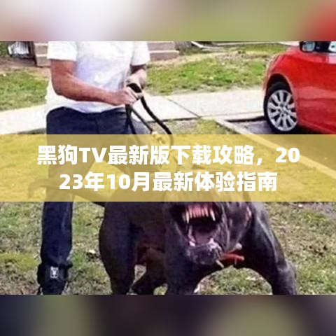 黑狗TV最新版下載攻略，2023年10月最新體驗(yàn)指南