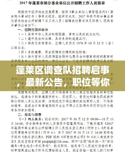 蓬萊區(qū)調(diào)查隊(duì)招聘啟事，最新公告，職位等你來挑戰(zhàn)！