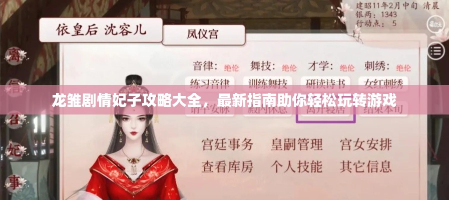 龍雛劇情妃子攻略大全，最新指南助你輕松玩轉(zhuǎn)游戲
