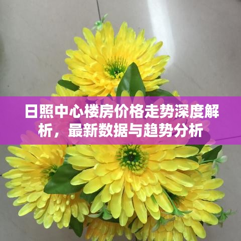 日照中心樓房價(jià)格走勢深度解析，最新數(shù)據(jù)與趨勢分析