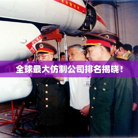 全球最大仿制公司排名揭曉！