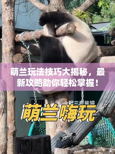 萌蘭玩法技巧大揭秘，最新攻略助你輕松掌握！