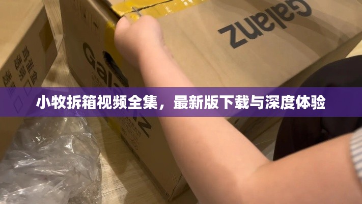 小牧拆箱視頻全集，最新版下載與深度體驗(yàn)