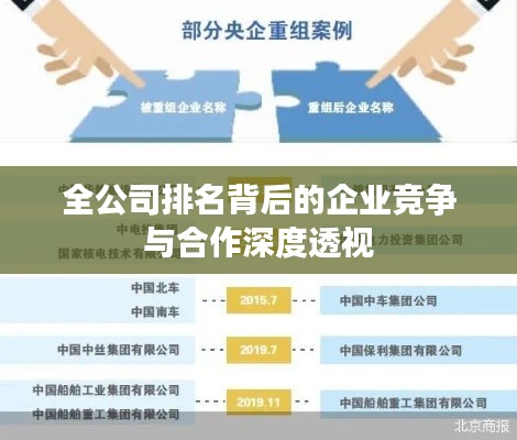 全公司排名背后的企業(yè)競(jìng)爭(zhēng)與合作深度透視