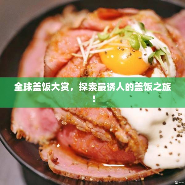 全球蓋飯大賞，探索最誘人的蓋飯之旅！