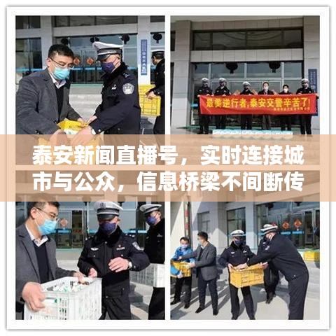 泰安新聞直播號，實(shí)時連接城市與公眾，信息橋梁不間斷傳遞