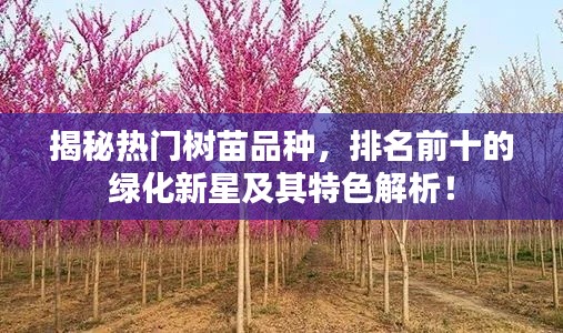 揭秘?zé)衢T樹苗品種，排名前十的綠化新星及其特色解析！