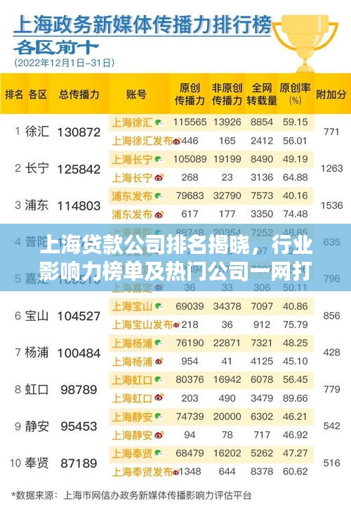 上海貸款公司排名揭曉，行業(yè)影響力榜單及熱門(mén)公司一網(wǎng)打盡