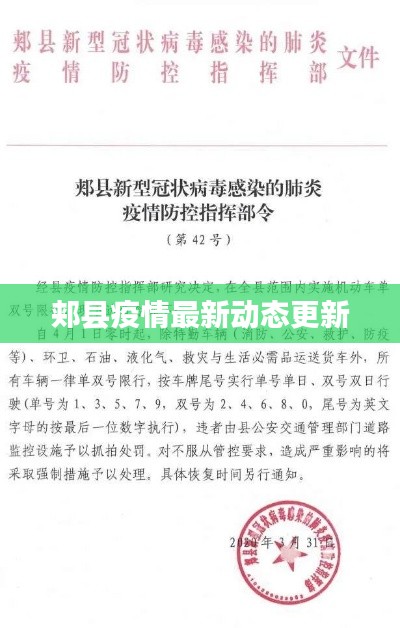 郟縣疫情最新動態(tài)更新