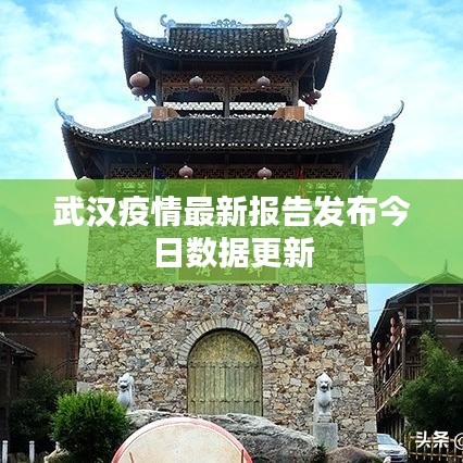 衣不兼采