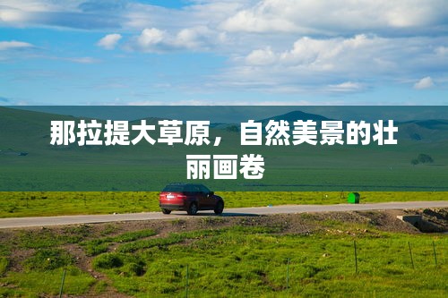 那拉提大草原，自然美景的壯麗畫卷
