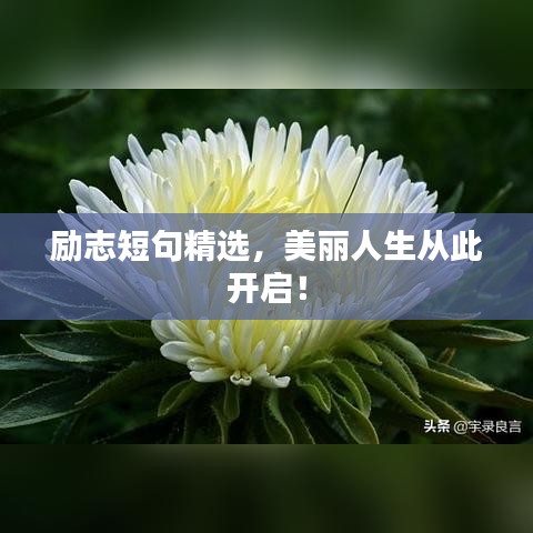 勵志短句精選，美麗人生從此開啟！