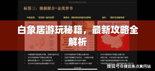 白象居游玩秘籍，最新攻略全解析
