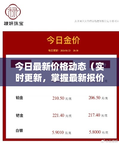今日最新價格動態(tài)（實時更新，掌握最新報價）