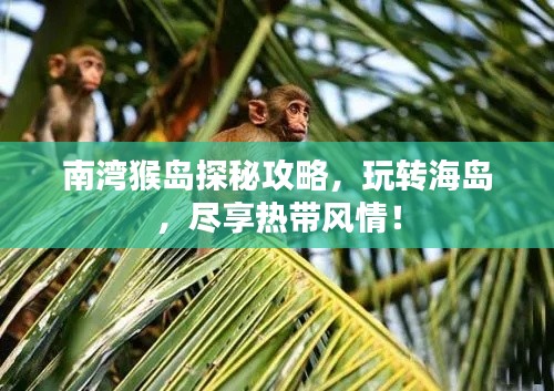 南灣猴島探秘攻略，玩轉(zhuǎn)海島，盡享熱帶風(fēng)情！