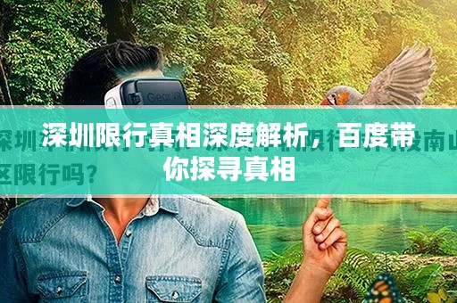 深圳限行真相深度解析，百度帶你探尋真相