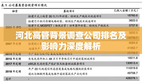 河北高管背景調(diào)查公司排名及影響力深度解析