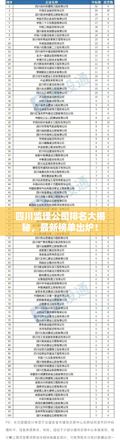 四川監(jiān)理公司排名大揭秘，最新榜單出爐！