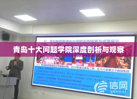 青島十大問題學(xué)院深度剖析與觀察